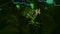 Undernauts: Labyrinth Of Yomi (Playstation 5) 5056280435150